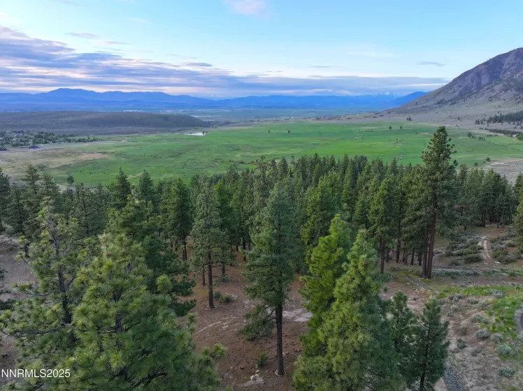 3510 Cutoff, Carson City, Nevada 89705, ,Land,Residential,Cutoff,250050091