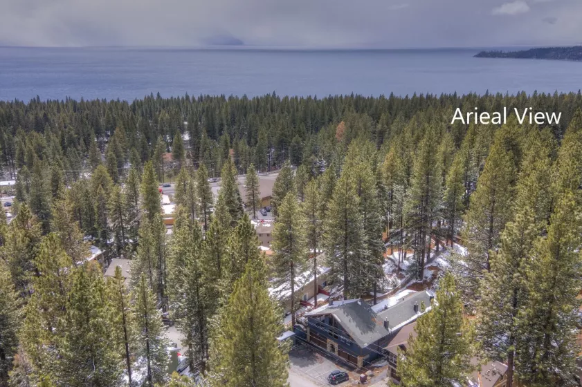 347 Cottonwood, Incline Village, Nevada 89451, ,Commercial Sale,Residential,Cottonwood,250050105
