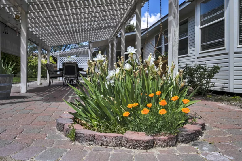 1634 Buzzys Ranch, Carson City, Nevada 89701, 3 Bedrooms Bedrooms, ,3 BathroomsBathrooms,Residential,Residential,Buzzys Ranch,250050114