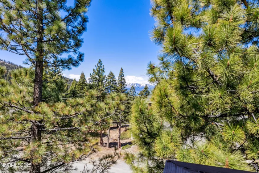 275 Tramway, Stateline, Nevada 89449, 3 Bedrooms Bedrooms, ,3 BathroomsBathrooms,Residential,Residential,Tramway,250050117