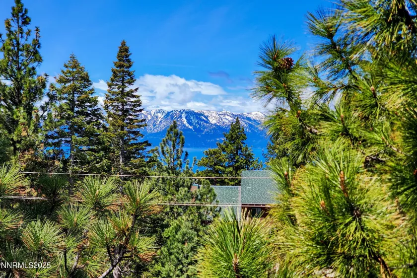 275 Tramway, Stateline, Nevada 89449, 3 Bedrooms Bedrooms, ,3 BathroomsBathrooms,Residential,Residential,Tramway,250050117