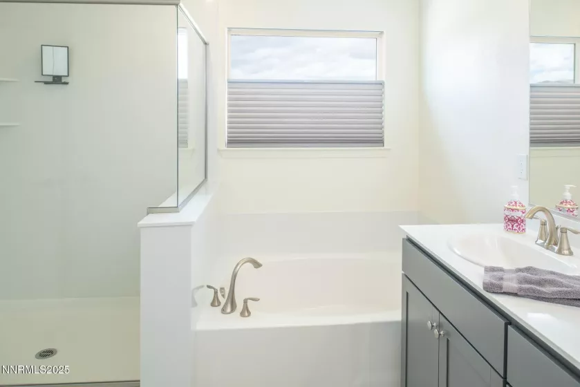 215 Great Vine, Sparks, Nevada 89441, 4 Bedrooms Bedrooms, ,3 BathroomsBathrooms,Residential,Residential,Great Vine,250050118