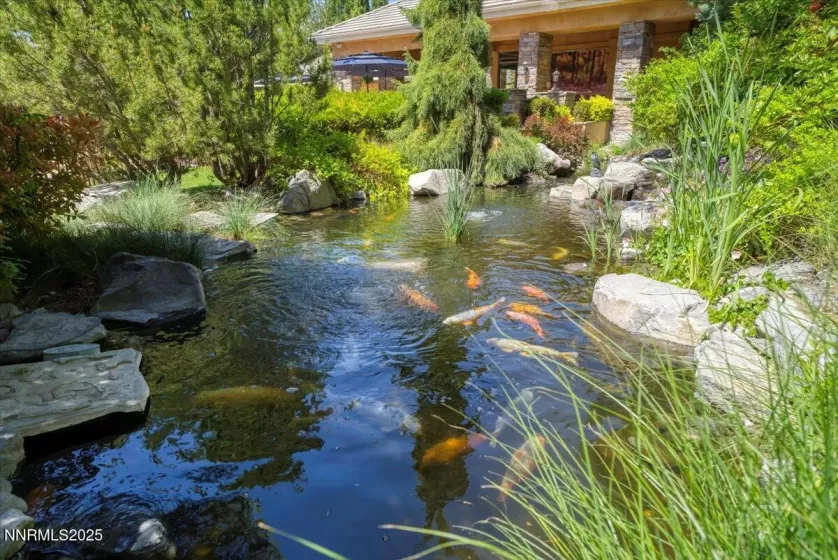 900 Meadows, Reno, Nevada 89521, 2 Bedrooms Bedrooms, ,2 BathroomsBathrooms,Residential,Residential,Meadows,250050140
