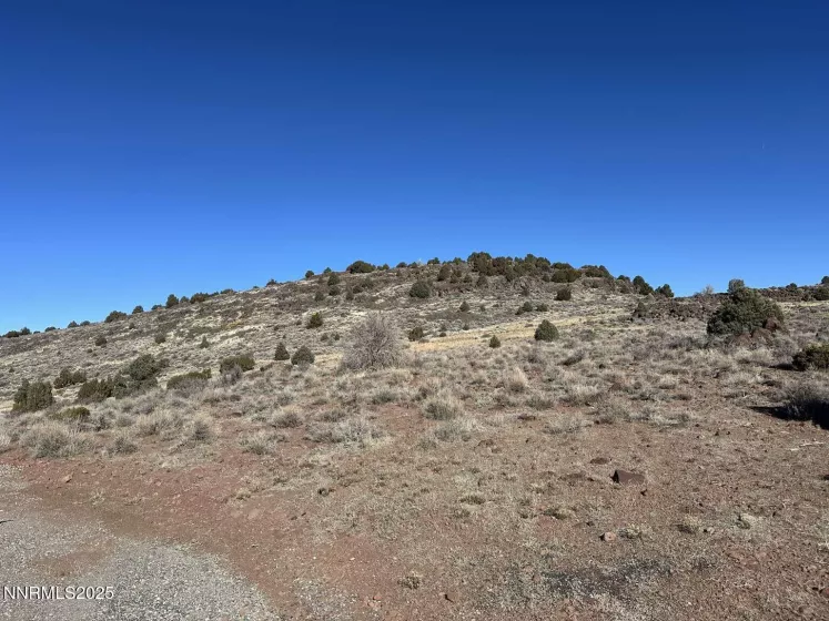 3180 Cartwright, Reno, Nevada 89521, ,Land,Residential,Cartwright,250050146