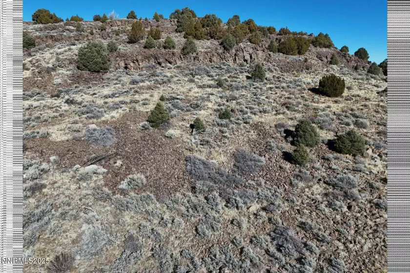 3180 Cartwright, Reno, Nevada 89521, ,Land,Residential,Cartwright,250050146