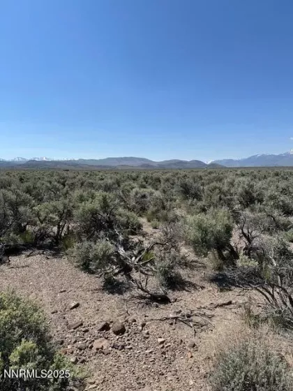 001 Eastside Lane, Gardnerville, Nevada 89410, ,Land,Residential,Eastside Lane,250050161