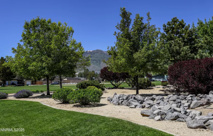 Community Park