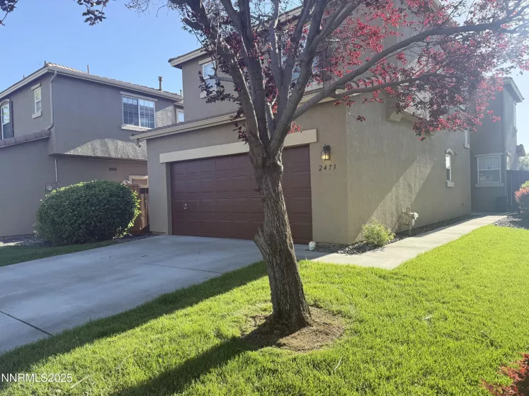 2473 Roman, Sparks, Nevada 89434, 3 Bedrooms Bedrooms, ,3 BathroomsBathrooms,Residential,Residential,Roman,250050180