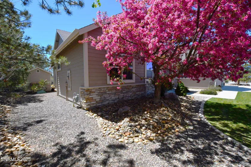 1601 Jones, Minden, Nevada 89423, 4 Bedrooms Bedrooms, ,3 BathroomsBathrooms,Residential,Residential,Jones,250050216