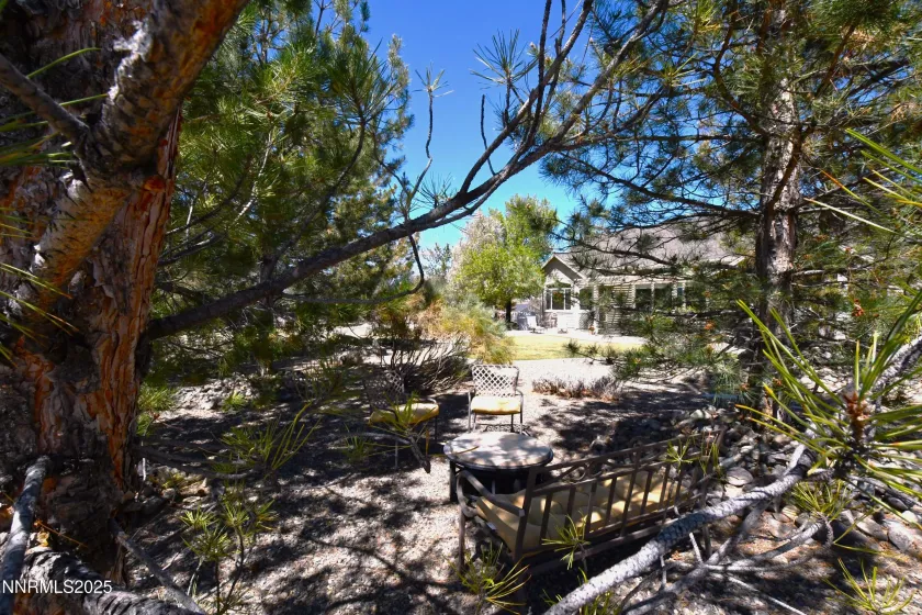 1601 Jones, Minden, Nevada 89423, 4 Bedrooms Bedrooms, ,3 BathroomsBathrooms,Residential,Residential,Jones,250050216