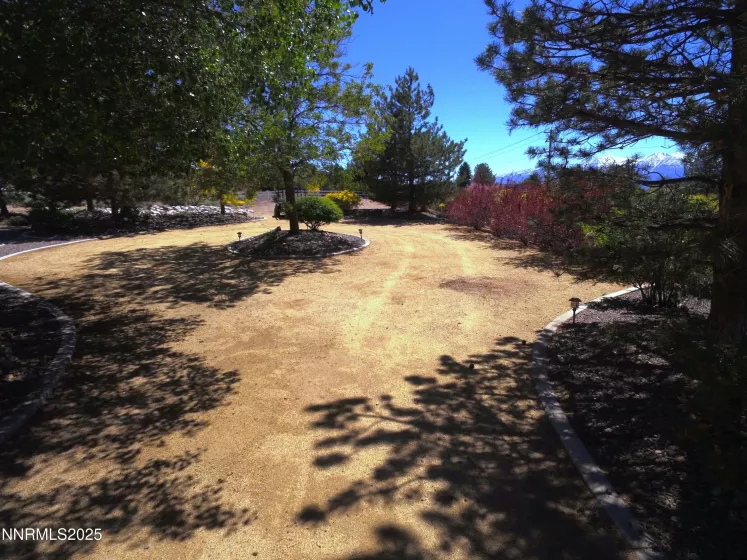 1601 Jones, Minden, Nevada 89423, 4 Bedrooms Bedrooms, ,3 BathroomsBathrooms,Residential,Residential,Jones,250050216