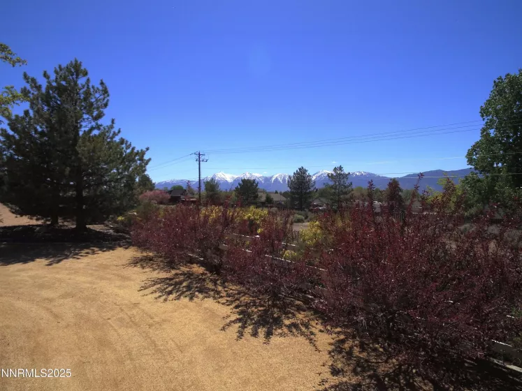 1601 Jones, Minden, Nevada 89423, 4 Bedrooms Bedrooms, ,3 BathroomsBathrooms,Residential,Residential,Jones,250050216