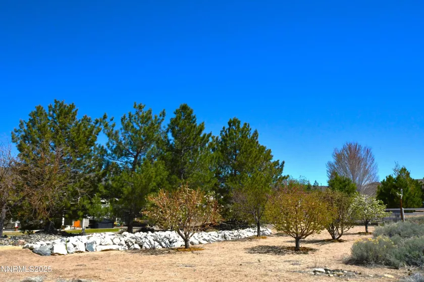 1601 Jones, Minden, Nevada 89423, 4 Bedrooms Bedrooms, ,3 BathroomsBathrooms,Residential,Residential,Jones,250050216