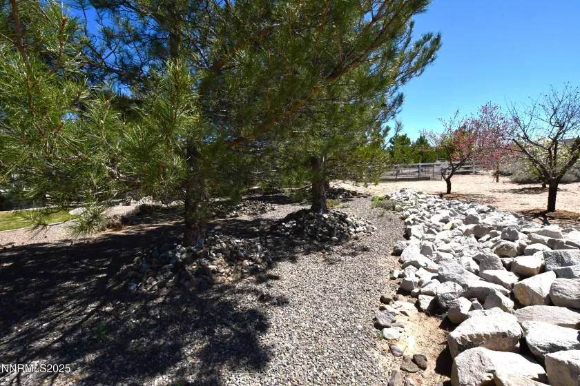 1601 Jones, Minden, Nevada 89423, 4 Bedrooms Bedrooms, ,3 BathroomsBathrooms,Residential,Residential,Jones,250050216