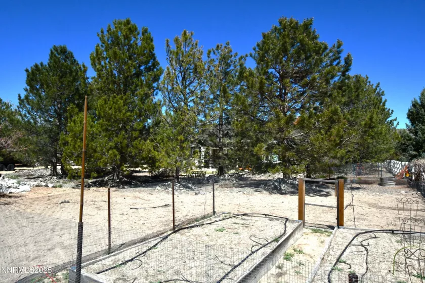 1601 Jones, Minden, Nevada 89423, 4 Bedrooms Bedrooms, ,3 BathroomsBathrooms,Residential,Residential,Jones,250050216