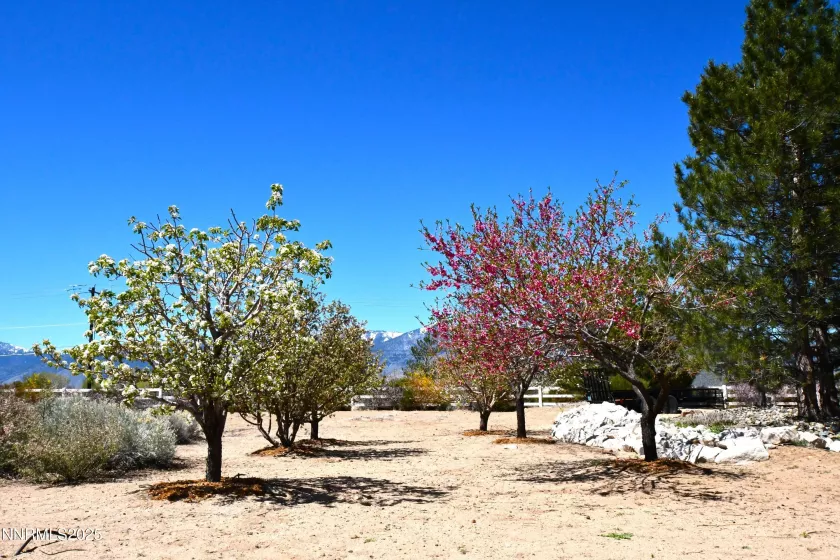 1601 Jones, Minden, Nevada 89423, 4 Bedrooms Bedrooms, ,3 BathroomsBathrooms,Residential,Residential,Jones,250050216