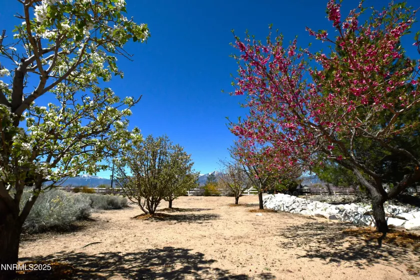 1601 Jones, Minden, Nevada 89423, 4 Bedrooms Bedrooms, ,3 BathroomsBathrooms,Residential,Residential,Jones,250050216
