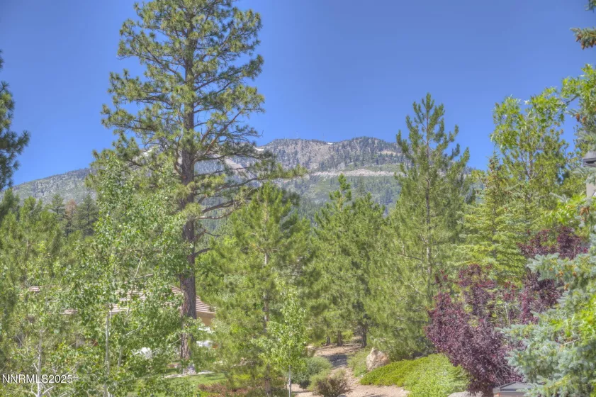 515 Mt Mahogany, Reno, Nevada 89511, ,Land,Residential,Mt Mahogany,250050201
