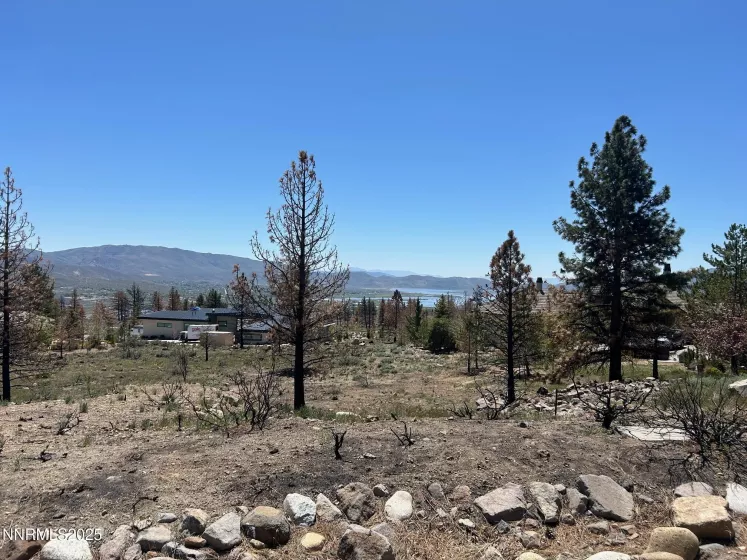 515 Mt Mahogany, Reno, Nevada 89511, ,Land,Residential,Mt Mahogany,250050201