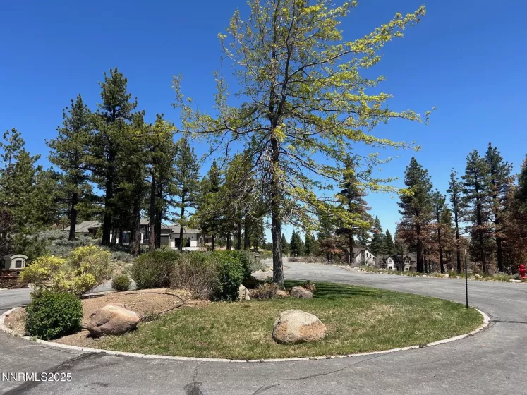 515 Mt Mahogany, Reno, Nevada 89511, ,Land,Residential,Mt Mahogany,250050201