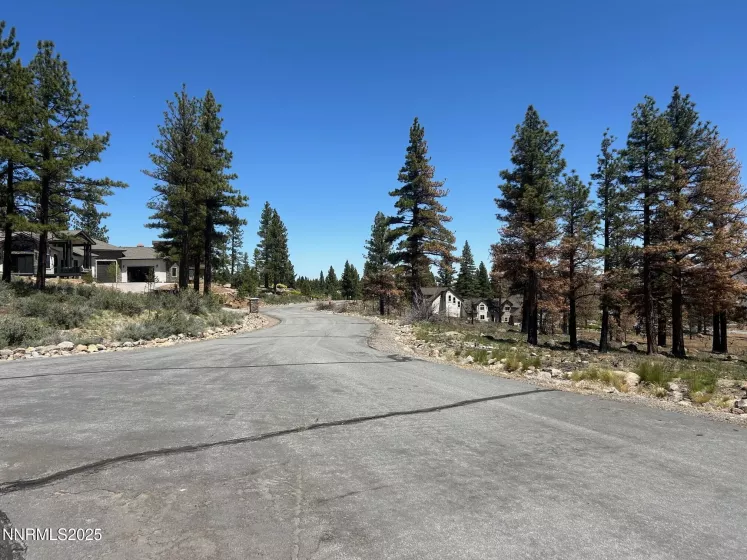 515 Mt Mahogany, Reno, Nevada 89511, ,Land,Residential,Mt Mahogany,250050201