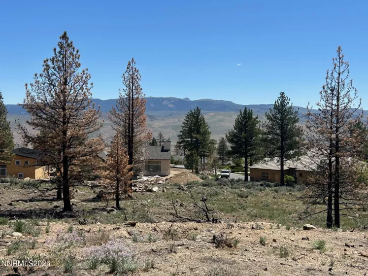 515 Mt Mahogany, Reno, Nevada 89511, ,Land,Residential,Mt Mahogany,250050201
