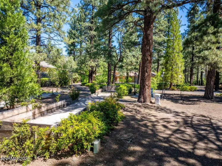390 Sylvan, Verdi, Nevada 89439, 4 Bedrooms Bedrooms, ,5 BathroomsBathrooms,Residential,Residential,Sylvan,250050202