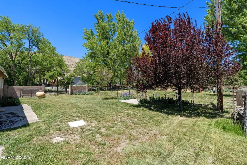 17860 Virginia, Reno, Nevada 89521, 3 Bedrooms Bedrooms, ,2 BathroomsBathrooms,Residential,Residential,Virginia,250050208