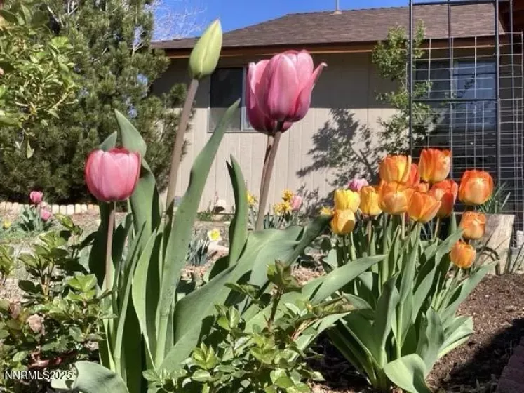 12 Patterson, Sparks, Nevada 89436, 3 Bedrooms Bedrooms, ,2 BathroomsBathrooms,Residential,Residential,Patterson,250050245