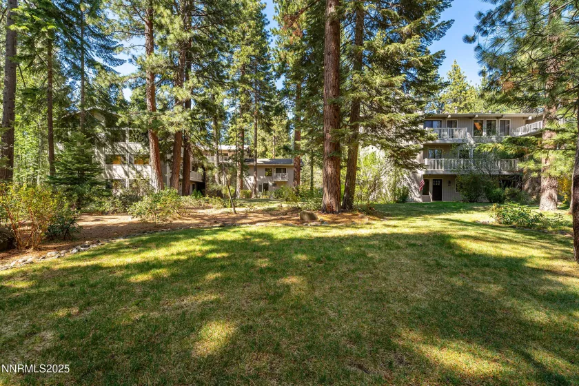 1000 Lakeshore, Incline Village, Nevada 89451, 3 Bedrooms Bedrooms, ,3 BathroomsBathrooms,Residential,Residential,Lakeshore,250050253