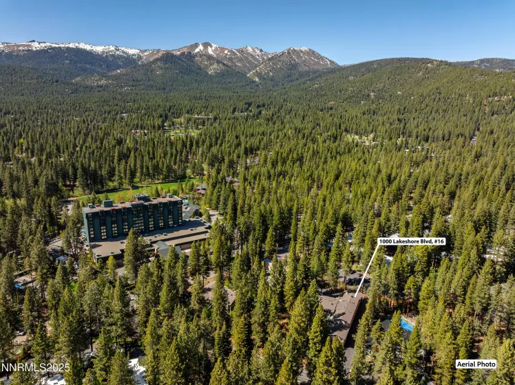 1000 Lakeshore, Incline Village, Nevada 89451, 3 Bedrooms Bedrooms, ,3 BathroomsBathrooms,Residential,Residential,Lakeshore,250050253