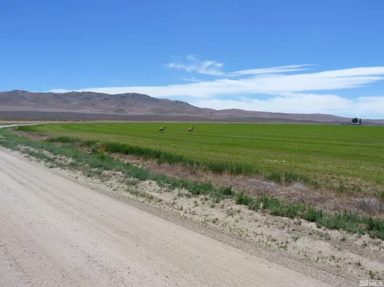 51955 Wilder Creek, Denio, Nevada 89404, 3 Bedrooms Bedrooms, ,2 BathroomsBathrooms,Farm & Ranch,Residential,Wilder Creek,240007548