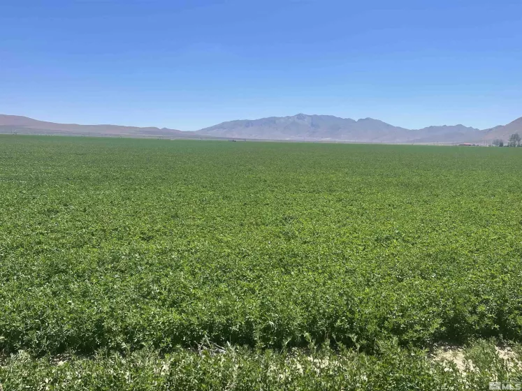 51955 Wilder Creek, Denio, Nevada 89404, 3 Bedrooms Bedrooms, ,2 BathroomsBathrooms,Farm & Ranch,Residential,Wilder Creek,240007548