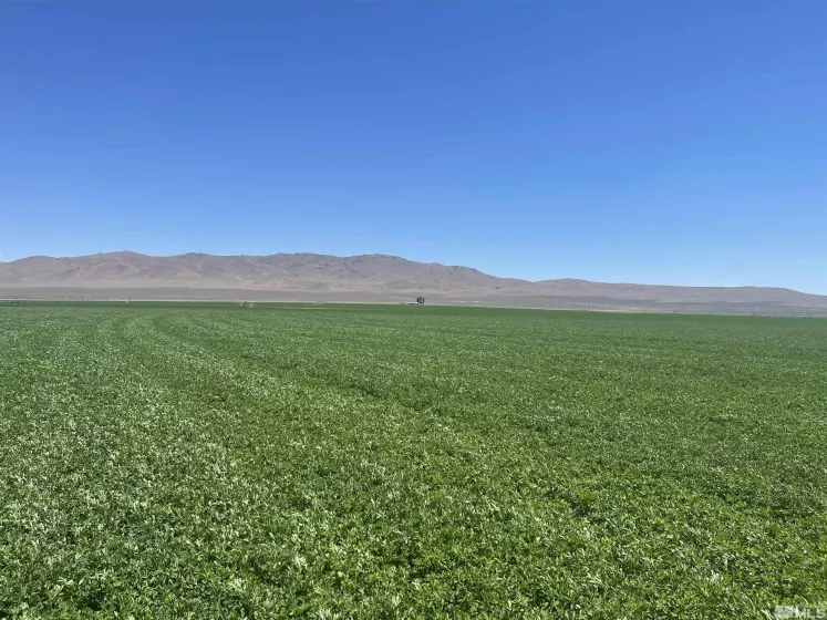 51955 Wilder Creek, Denio, Nevada 89404, 3 Bedrooms Bedrooms, ,2 BathroomsBathrooms,Farm & Ranch,Residential,Wilder Creek,240007548