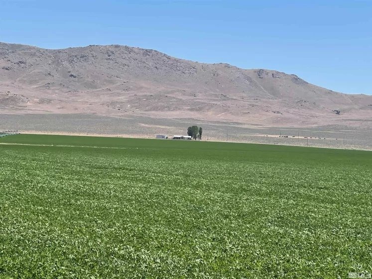 51955 Wilder Creek, Denio, Nevada 89404, 3 Bedrooms Bedrooms, ,2 BathroomsBathrooms,Farm & Ranch,Residential,Wilder Creek,240007548