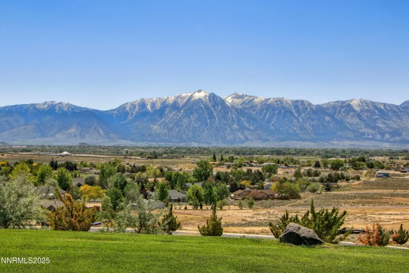Front yard view