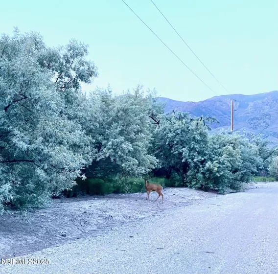 21775 Titanium, Lovelock, Nevada 89419, ,Land,Residential,Titanium,250050353