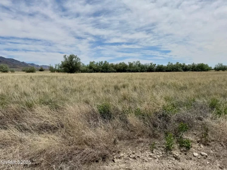 10980 Beaumont, Lovelock, Nevada 89419, ,Land,Residential,Beaumont,250050356