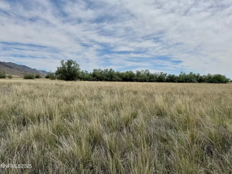 10980 Beaumont, Lovelock, Nevada 89419, ,Land,Residential,Beaumont,250050356