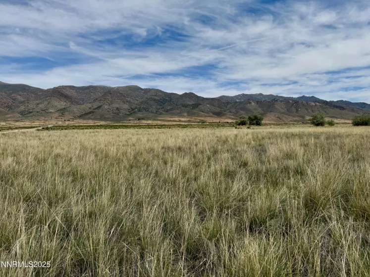 10980 Beaumont, Lovelock, Nevada 89419, ,Land,Residential,Beaumont,250050356