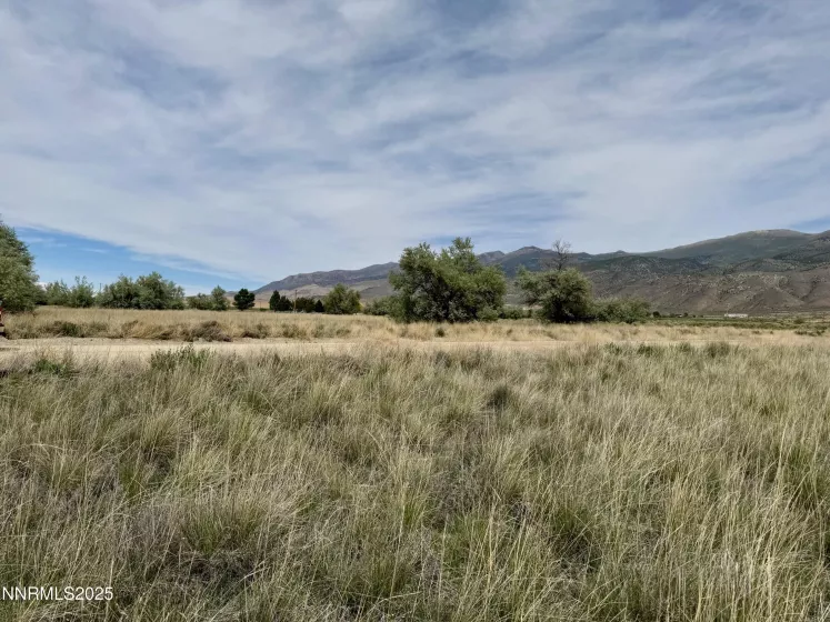 10980 Beaumont, Lovelock, Nevada 89419, ,Land,Residential,Beaumont,250050356