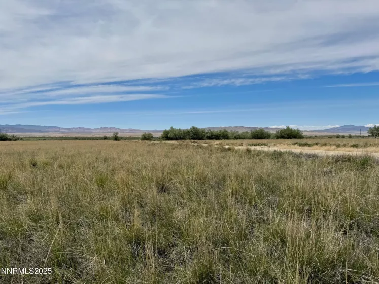 10980 Beaumont, Lovelock, Nevada 89419, ,Land,Residential,Beaumont,250050356