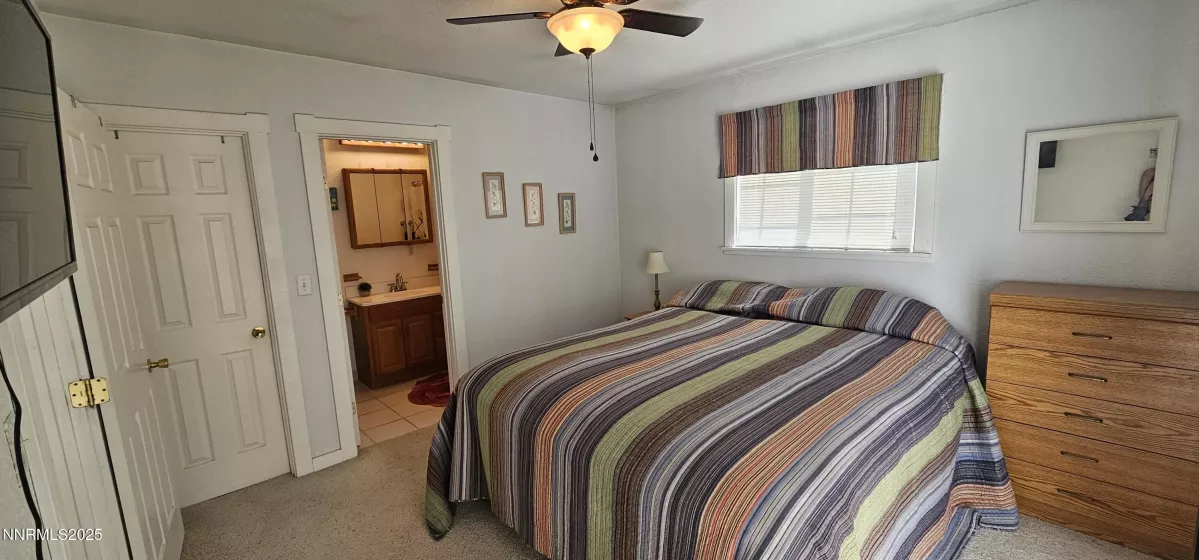 Gas (propane) log fireplace