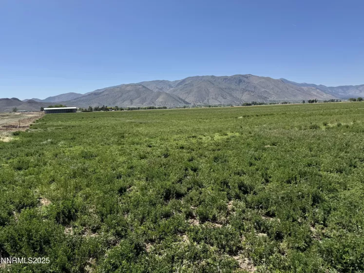 2673 NV-208, Smith Valley, Nevada 89444, ,Land,Residential,NV-208,250050401