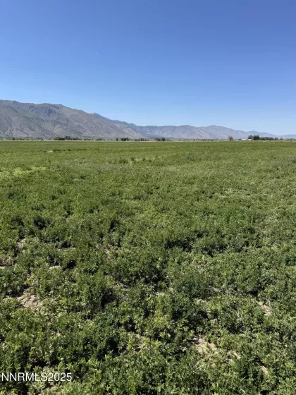 2673 NV-208, Smith Valley, Nevada 89444, ,Land,Residential,NV-208,250050401