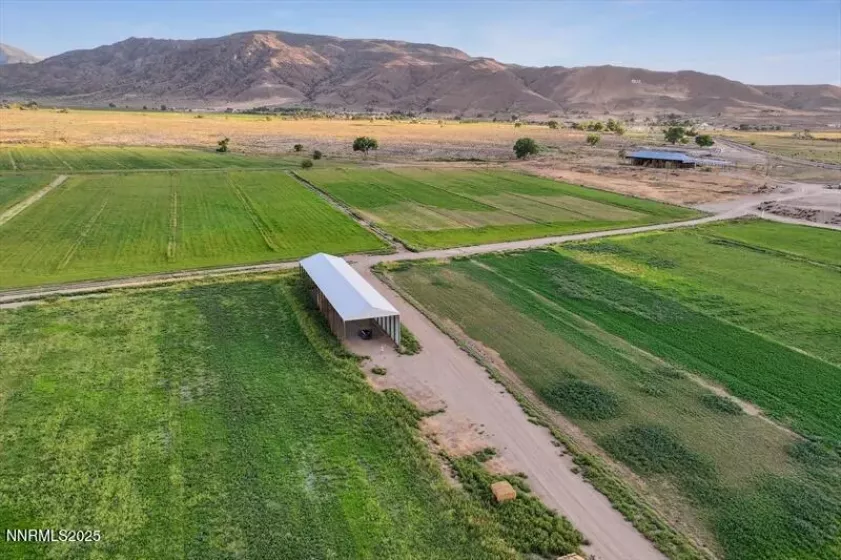 2673 NV-208, Smith Valley, Nevada 89444, ,Land,Residential,NV-208,250050401