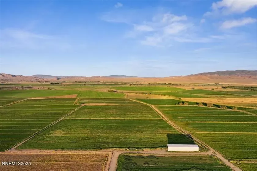 2673 NV-208, Smith Valley, Nevada 89444, ,Land,Residential,NV-208,250050401