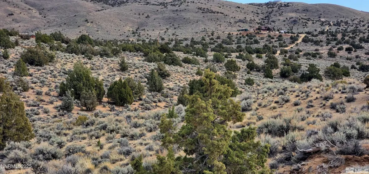 500 Curnow Canyon, Reno, Nevada 89510, ,Land,Residential,Curnow Canyon,250050412