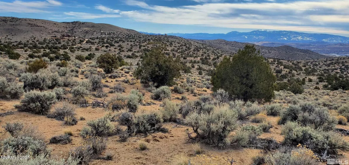 500 Curnow Canyon, Reno, Nevada 89510, ,Land,Residential,Curnow Canyon,250050412
