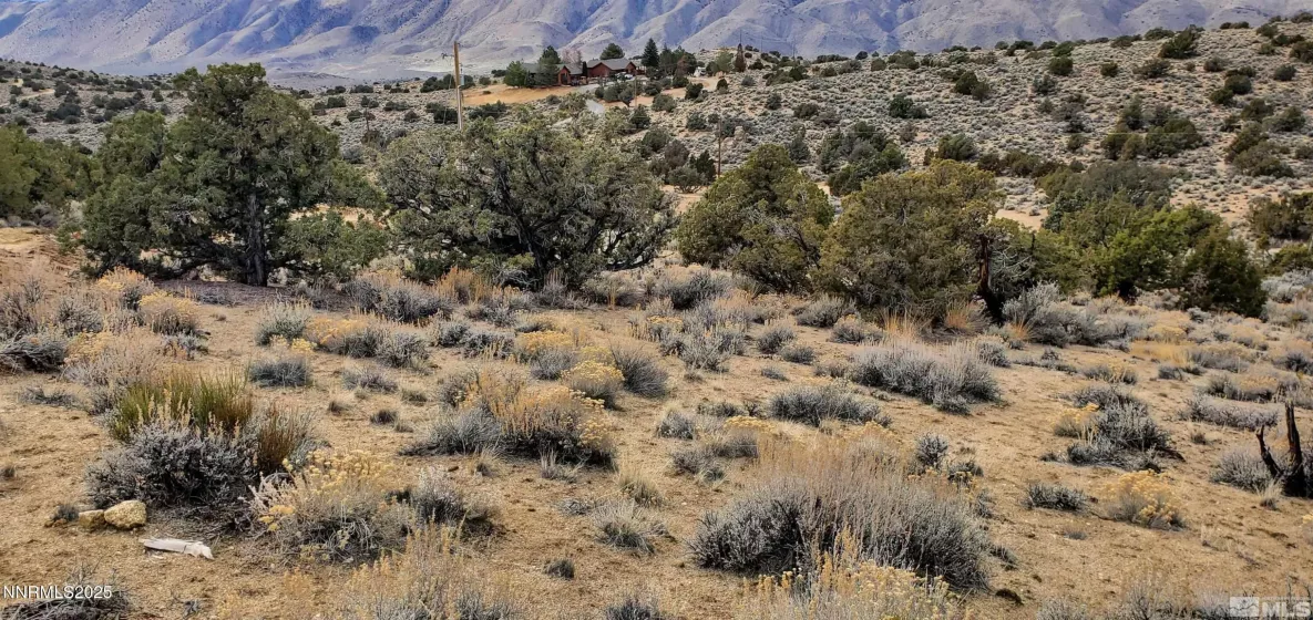 500 Curnow Canyon, Reno, Nevada 89510, ,Land,Residential,Curnow Canyon,250050412